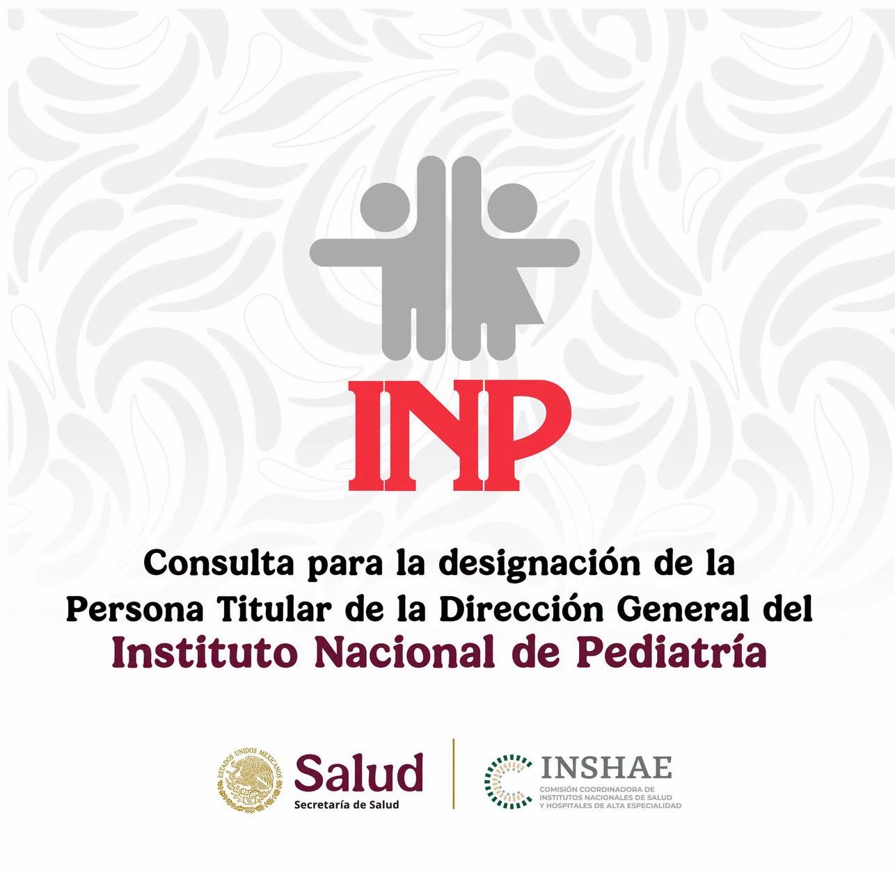 Consulta para la Designación de la Persona Titular de la Dirección General del Instituto Nacional de Pediatría